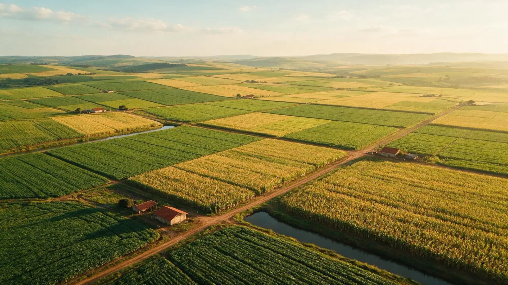 Notícias do Agro