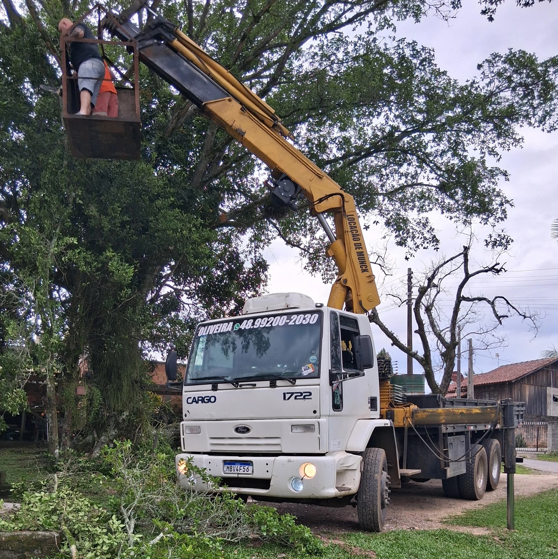 019ac560-95a0-7568-949f-14861ca78882