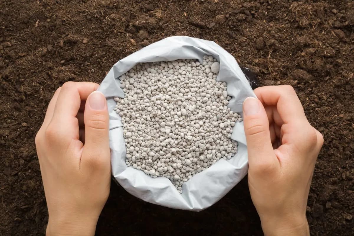 Índice de Poder de Compra de Fertilizantes encerra julho em queda de 5%