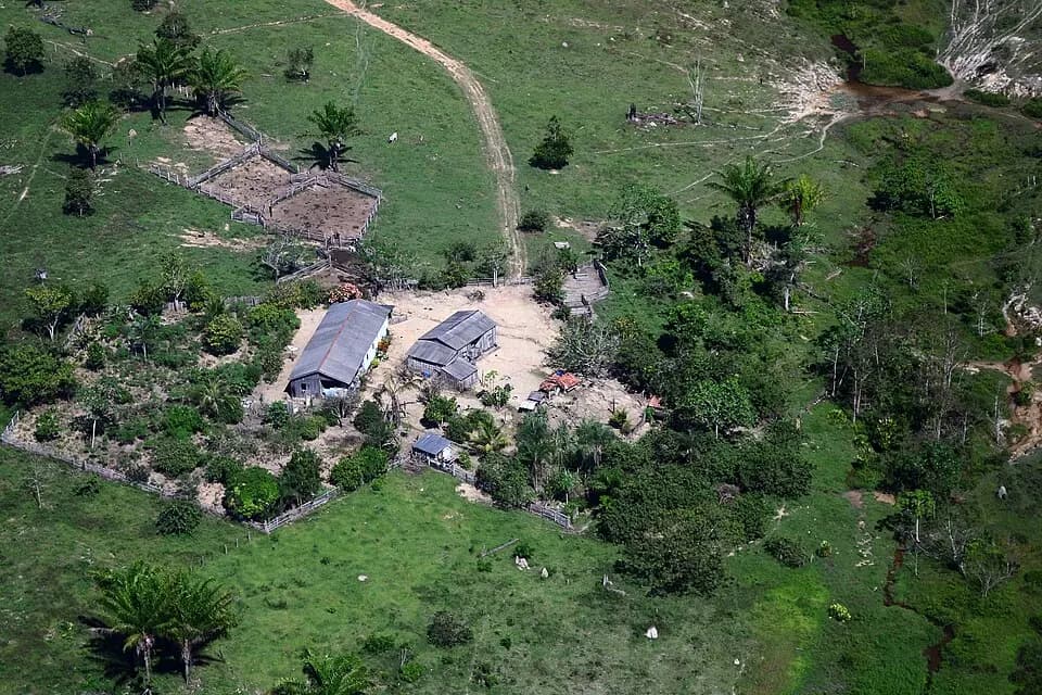 MPT investiga desaparecimento de trabalhador rural em fazenda na divisa entre MT e Pará