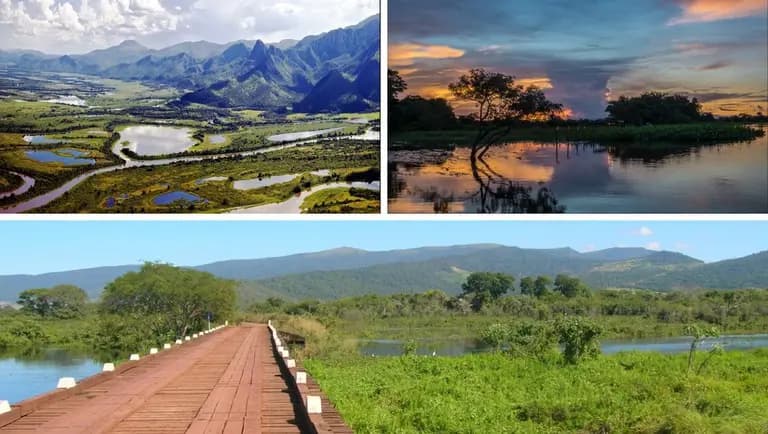 Turismo no Pantanal combina natureza, cultura e experiências em Mato Grosso e Mato Grosso do Sul