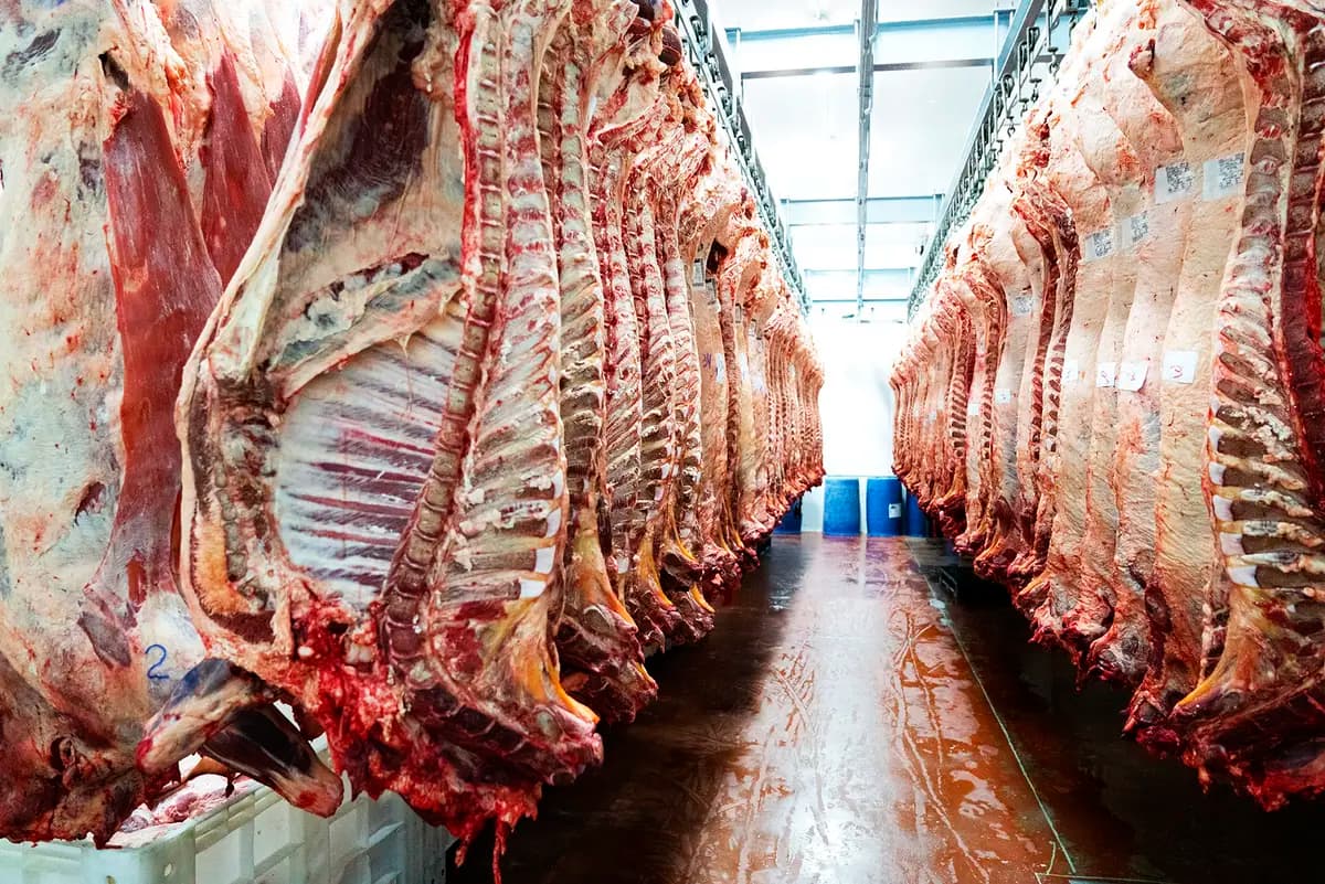 MBRF deve redirecionar aos EUA carne brasileira que iria para a China