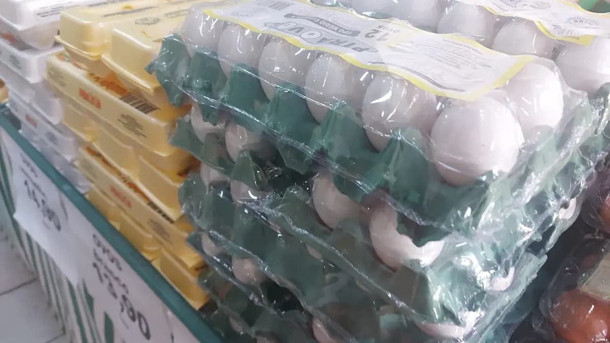 Ovos: entenda por que poder de compra do avicultor atingiu menor patamar no semestre