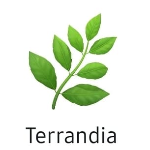 019c34f1-8bac-7897-a2b0-6031a4e0e12f